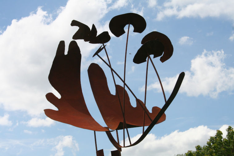 Maasvogels